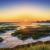 Buy canvas prints of Full Screen Sunrise In Essex by matthew  mallett