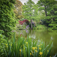 Buy canvas prints of Pond of Many Colours by matthew  mallett