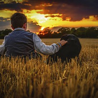Buy canvas prints of  Boy and dog watching sunset by matthew  mallett