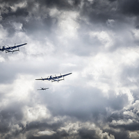 Buy canvas prints of  Flying and Ready for Action by matthew  mallett