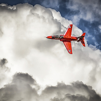 Buy canvas prints of  Red Arrow leaves the Pack by matthew  mallett