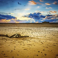 Buy canvas prints of  Remnants on the Beach at Sunset by matthew  mallett