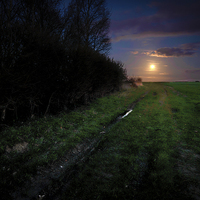 Buy canvas prints of  Pathway to the Rising Moon by matthew  mallett