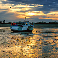 Buy canvas prints of Low Tide Fishing Boat and Seagull Sunset by matthew  mallett