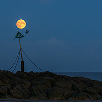 Buy canvas prints of Eve Of The Super Moon  by matthew  mallett