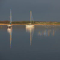 Buy canvas prints of Boats And Nature At Wrabness by matthew  mallett