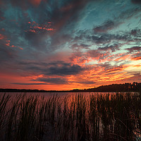 Buy canvas prints of Sunset At Lake Louisa Florida by matthew  mallett