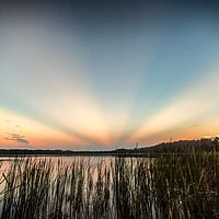 Buy canvas prints of Anti Crepuscular Rays Sunrise Over Lake Dixie Flor by matthew  mallett