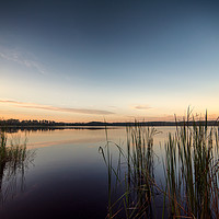 Buy canvas prints of Peaceful Lake Dixie Florida Sunrise by matthew  mallett