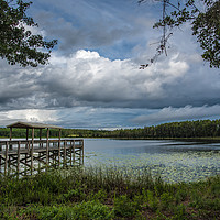 Buy canvas prints of Hammond Lake at Lake Louisa Florida by matthew  mallett