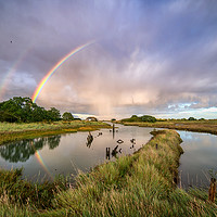 Buy canvas prints of Swallows, Rainbows and Reflections by matthew  mallett