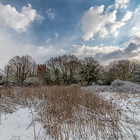 Buy canvas prints of Snow over Thorpe Le Soken by matthew  mallett