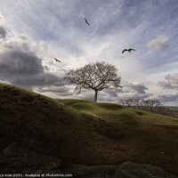 Buy canvas prints of Red Kites Over A Nude In Nature by Inca Kala