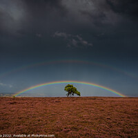 Buy canvas prints of Double Rainbow Over The Lonely Tree On Egton Moor by Inca Kala