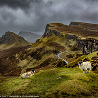 Buy canvas prints of The Quiraing Under A Stormy Skye by Inca Kala
