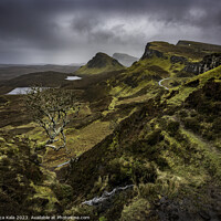 Buy canvas prints of The Quiraing View and its Famous Lonely Tree by Inca Kala