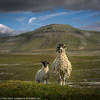 Buy canvas prints of The Sentinels of the Yorkshire Dales by Inca Kala