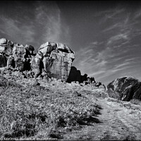Buy canvas prints of The Path to the Cow and Calf Rocks of Ilkley  by Inca Kala