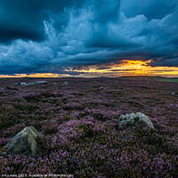 Buy canvas prints of Sunset and Storms Over the Moorland Heather by Inca Kala