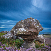 Buy canvas prints of Weather Sculpted Rock and Moorland Heather  by Inca Kala