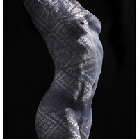 Buy canvas prints of  Patterned nude torso  by Inca Kala