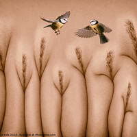 Buy canvas prints of A Bird In The Hand Is Worth Two In The Bush by Inca Kala