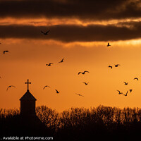 Buy canvas prints of Sunrise And Birds Over The Church Spire by Inca Kala