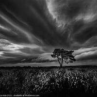 Buy canvas prints of Egton Lonely Tree Under A Dramatic Sky by Inca Kala