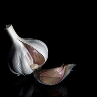 Buy canvas prints of Garlic Bulb by anna collins