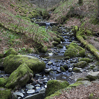 Buy canvas prints of  Winding Stream in Cumbria by anna collins