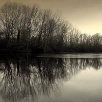 Buy canvas prints of Winter Symmetry by Kate Towers