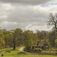 Buy canvas prints of The Beautiful English Countryside by Stewart Nicolaou