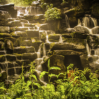 Buy canvas prints of Waterfall at virginia water by Stewart Nicolaou