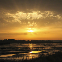 Buy canvas prints of  Sunset at Riverside Country Park by Stewart Nicolaou