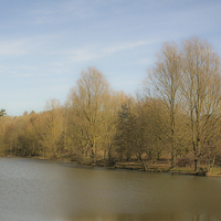 Buy canvas prints of  High Woods Lake, Colchester by Stewart Nicolaou
