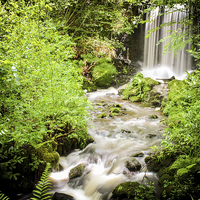 Buy canvas prints of  The Hidden Waterfall at the Botanic Garden, Wales by Stewart Nicolaou