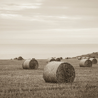 Buy canvas prints of The Bales at St Aldhelm by Stewart Nicolaou