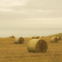 Buy canvas prints of The Bales at St Aldhelm, Dorset by Stewart Nicolaou