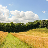Buy canvas prints of A Summers Day Amongst The Meadows  by Stewart Nicolaou