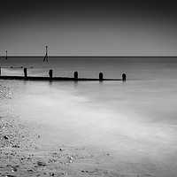 Buy canvas prints of Selsey Groynes, Sussex by Stewart Nicolaou