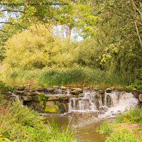 Buy canvas prints of A Woodland Walk With Miniature Waterfalls by Stewart Nicolaou