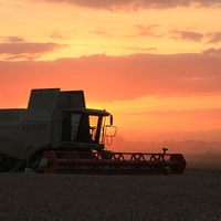 Buy canvas prints of Harvesting the sunset by Colin Brittain