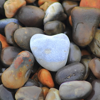 Buy canvas prints of Pebble heart by Colin Brittain