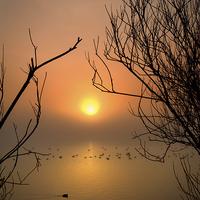 Buy canvas prints of Cosmeston Lake with mist by Mark Williams