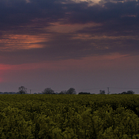 Buy canvas prints of Sunset over Martham by James Taylor