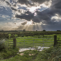 Buy canvas prints of  Sun Rays at Somerton by James Taylor