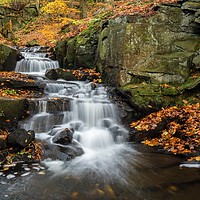 Buy canvas prints of Lumsdale in Autumn by Jason Moss
