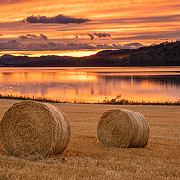 Buy canvas prints of Hay Bales Cromarty Firth by Jason Moss