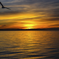Buy canvas prints of sunset over lee on solent by nick wastie