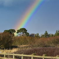Buy canvas prints of beautiful rainbow by nick wastie